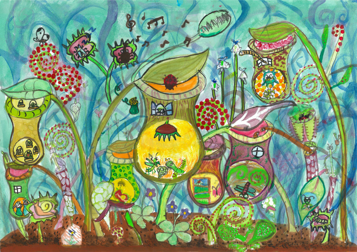 食虫植物のおうち